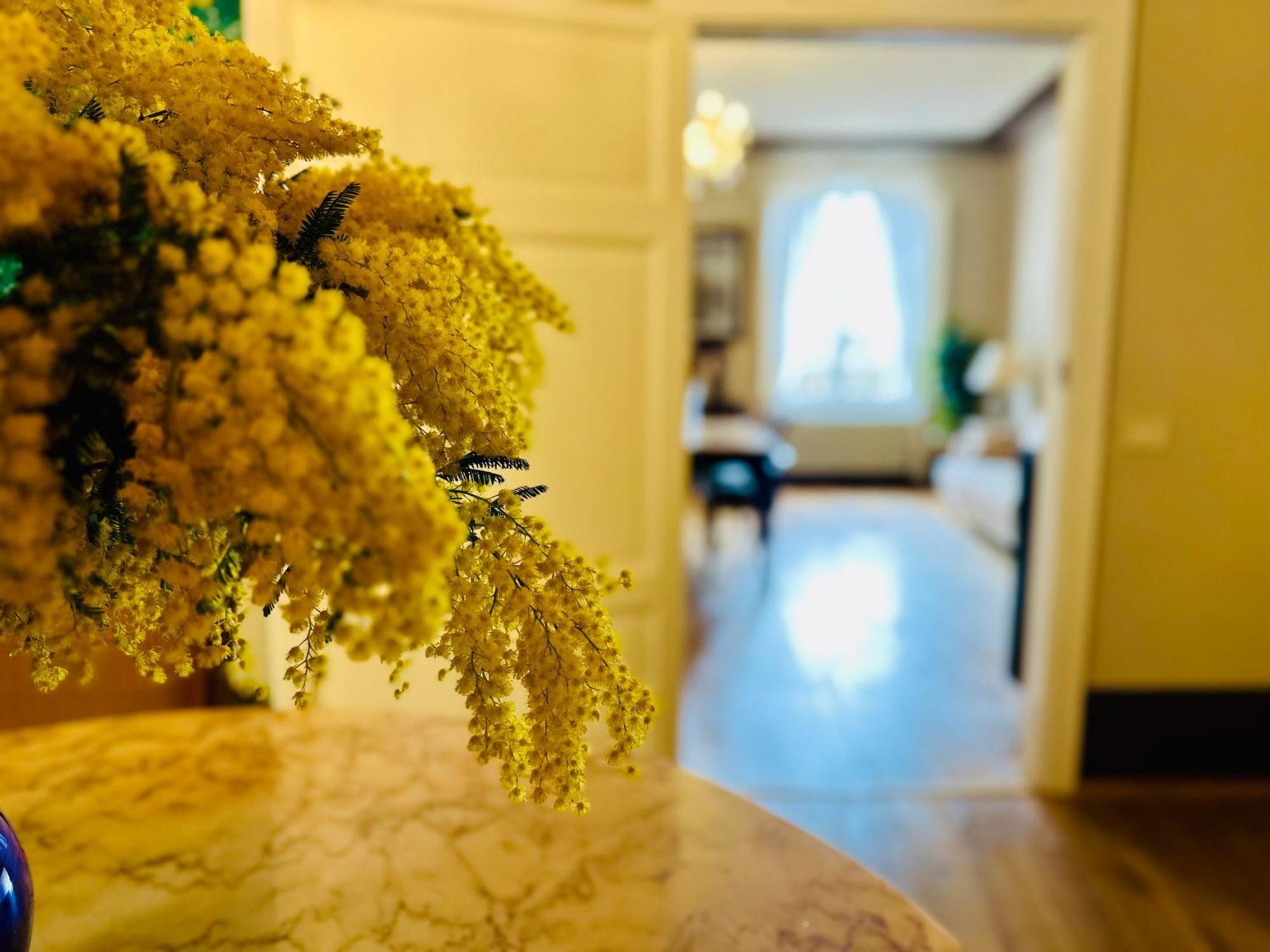 Domus An- Two Bedrooms Apartment -Antique And Historical Home Siena Bagian luar foto